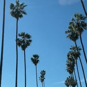 Meet your Posher, Delia